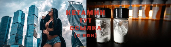 спиды Новозыбков