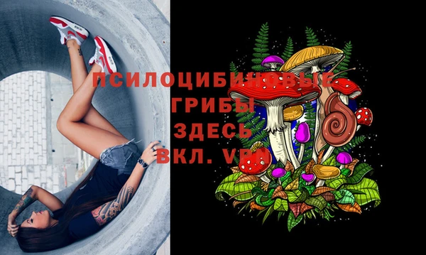 гашиш Новодвинск