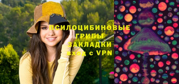 спиды Новозыбков