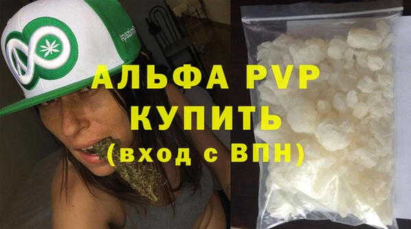 спиды Новозыбков