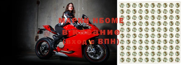 спиды Новозыбков