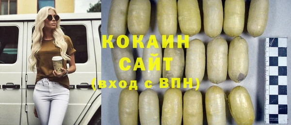 спиды Новозыбков